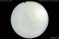 2013/3/31 20:58’00”