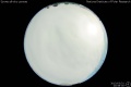 2013/3/31 20:58’30”