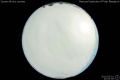 2013/3/31 21:00’30”