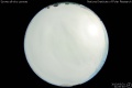 2013/3/31 21:00’40”