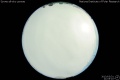 2013/3/31 21:05’10”