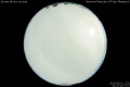2013/3/31 21:17’10”