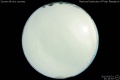 2013/3/31 21:19’10”