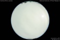 2013/3/31 21:45’10”
