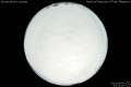 2013/4/30 02:51’10”