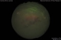 2013/5/1 16:08’10”