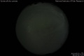 2013/5/20 04:00’40”