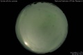 2013/8/13 20:04’40”