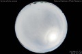 2013/8/15 15:52’10”