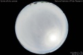 2013/8/15 16:00’10”