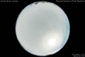 2013/8/15 16:41’10”