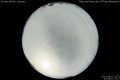 2013/8/15 20:49’10”