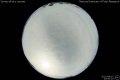 2013/8/15 20:50’10”