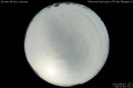 2013/8/15 20:51’40”