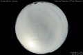 2013/8/15 20:54’10”
