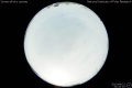 2013/8/22 01:42’10”