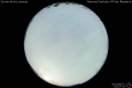 2013/8/22 02:57’10”