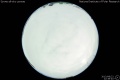 2013/8/22 22:39’40”