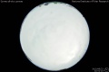 2013/8/22 22:51’10”