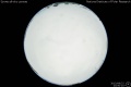 2013/8/22 23:50’10”