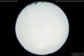 2013/8/22 23:51’10”