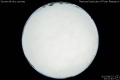 2013/8/22 23:51’40”
