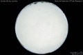 2013/8/22 23:52’10”