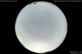 2013/8/23 02:05’10”
