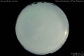 2013/8/23 21:19’40”
