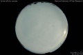 2013/8/23 21:21’10”