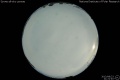2013/8/23 21:21’40”