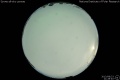2013/8/23 21:28’40”