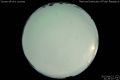 2013/8/23 21:29’10”