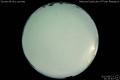 2013/8/23 21:30’40”