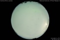 2013/8/23 21:33’10”