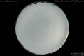 2013/8/23 21:58’10”
