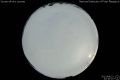 2013/8/23 22:30’10”
