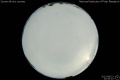 2013/8/23 22:50’10”