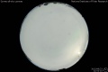 2013/8/23 22:52’10”