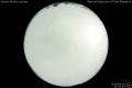 2014/4/19 21:30’40”
