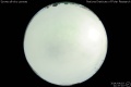 2014/4/19 21:37’10”