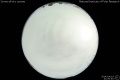 2014/4/19 21:50’40”