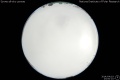 2014/4/19 23:00’10”