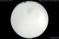 2014/4/19 23:00’40”