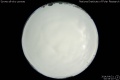 2014/4/21 00:35’10”