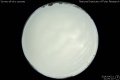 2014/4/21 01:00’10”