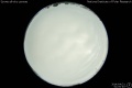 2014/4/21 01:00’40”