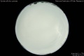 2014/4/21 01:08’10”