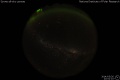 2014/5/26 22:51’10”