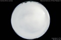 2014/6/15 19:30’10”